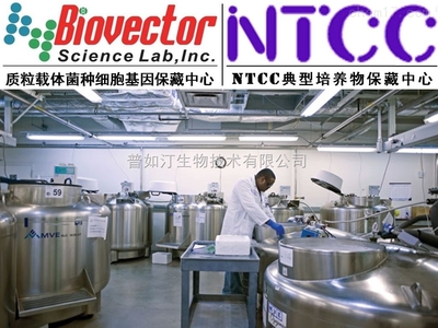 pAAV2/5載體系統(tǒng)技術(shù)開發(fā)與供應(yīng)趨勢(shì)分析